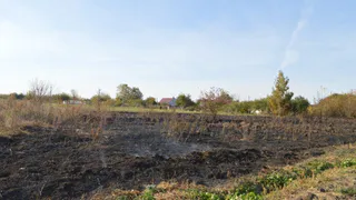 В Рязанской области оштрафовали виновницу пожара на площади 4,5 гектара