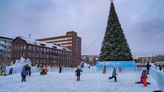 Какие елки нарядили в других городах: новогодний обзор