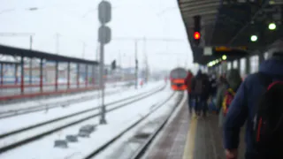 В Подмосковье электричка сбила семью из трех человек