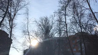 В понедельник к снегопаду в Рязани присоединится сильный ветер