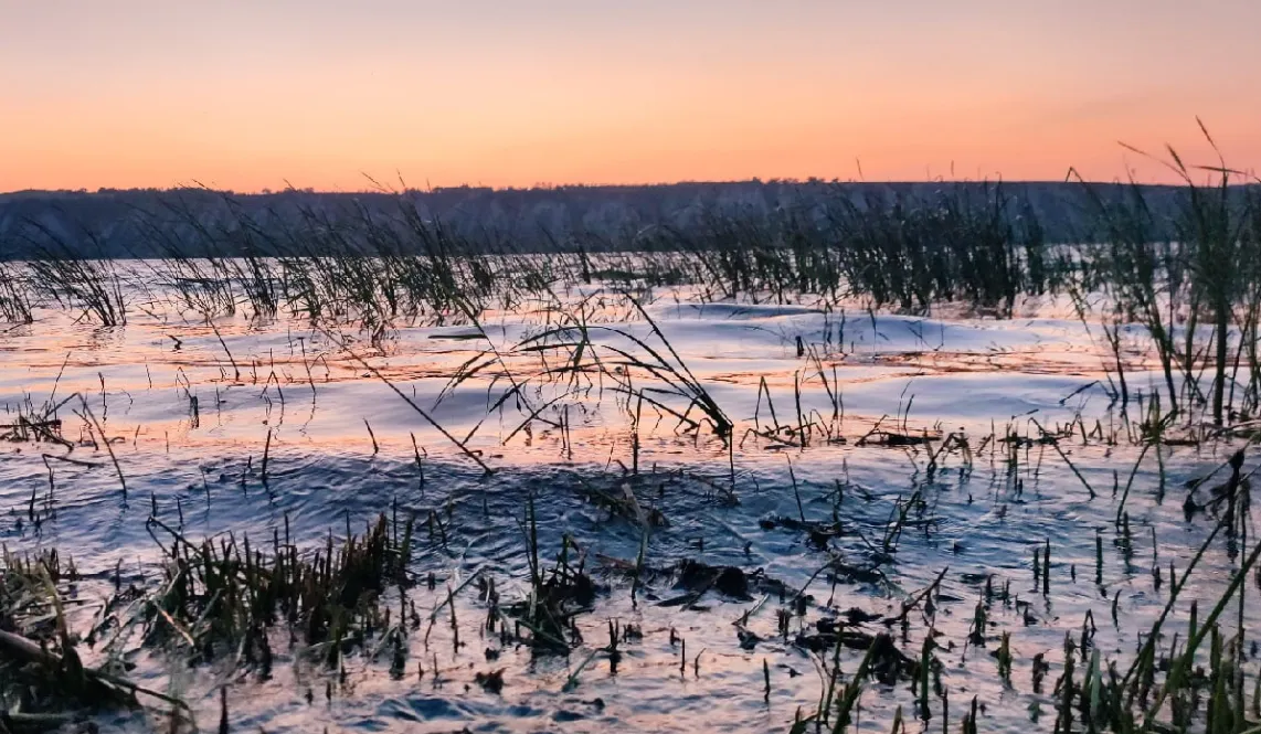 Аномальная мартовская жара и майский холод: синоптики дали новый прогноз на весну 2025 года