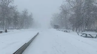 Рязанцам рассказали, когда настанет зима