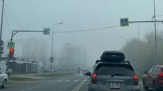 Туман, дождь и магнитная буря ждут рязанцев 14 октября 