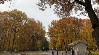Ноябрьский каприз: синоптики обещают рязанцам потепление до +11°С