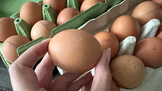 Зря продукты переводила: Больше не храню яйца на дверце холодильника - узнала самое лучшее для них место