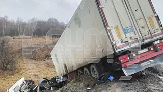 Депутат из Рязанской области и её 11-летний сын пострадали в массовом ДТП на трассе М6