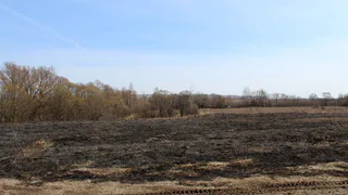 Опять жгут: в Путятинском районе дважды загорелась трава