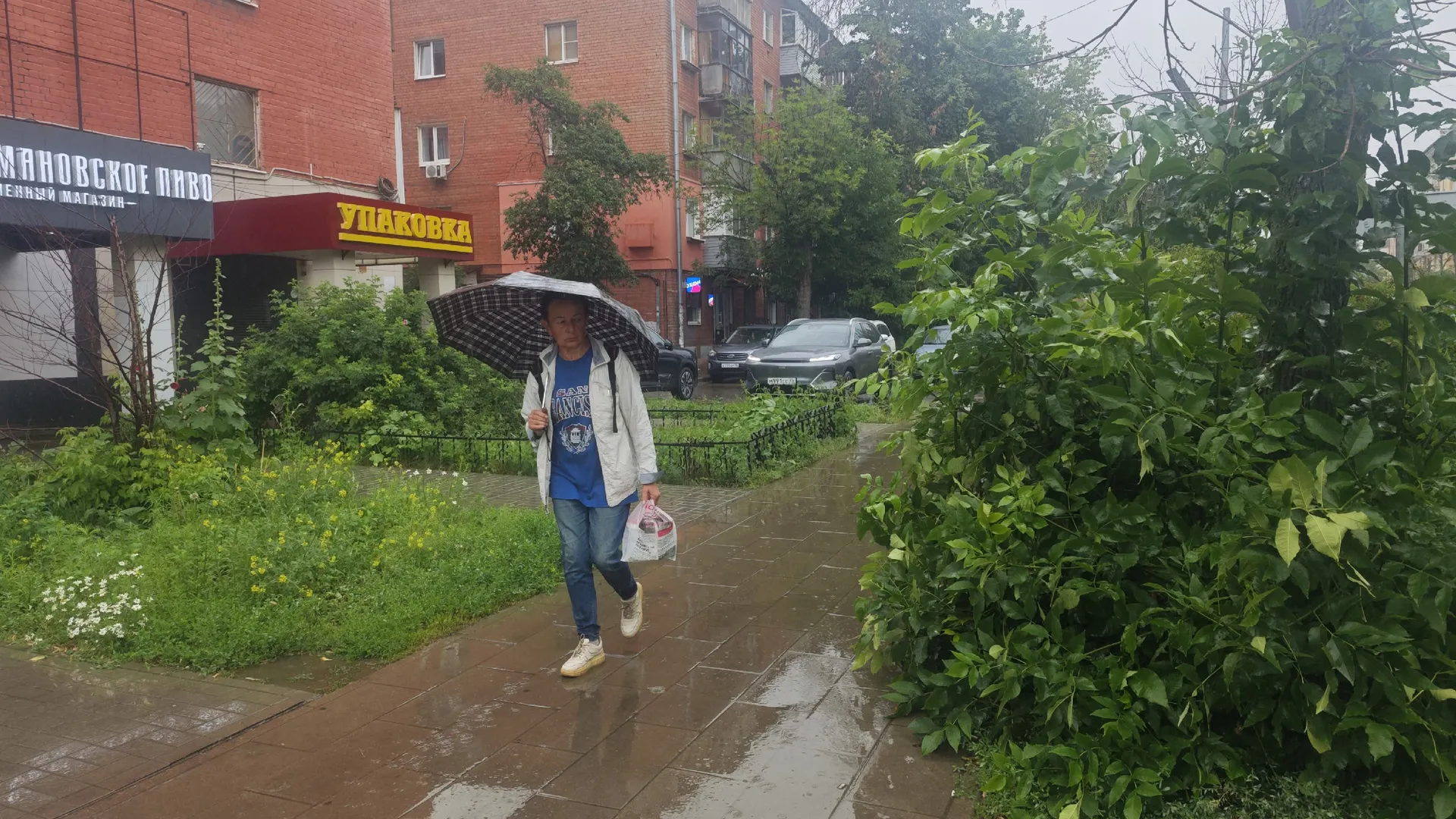 Аномальная жара в Рязани сменится мощными ливнями