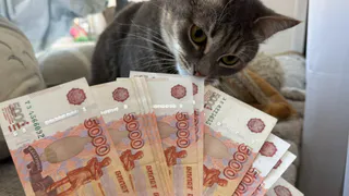 В Рязанской области с 1 января 2026 года вступает в силу специальный налоговый режим