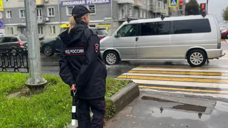 Суд разрешил родителям убившего жену Логунова видеться с внучками на определенных условиях