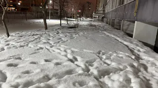 Рязанцам рассказали, чего, по поверьям, ни в коем случае нельзя делать сегодня, 8 февраля, особенно незамужним девушкам