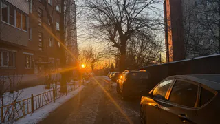 Урожай точно загнется из-за катастрофы в марте: чем грозит аномальная зима 2025 года