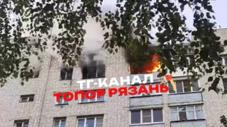Шесть кошек погибли из-за пожара в Рязани