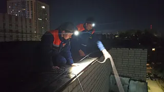 Волонтёры Рязани спасли застрявшего в оконной раме кота