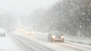 25 февраля в Рязанской области пройдет сильный снегопад и потеплеет до +3