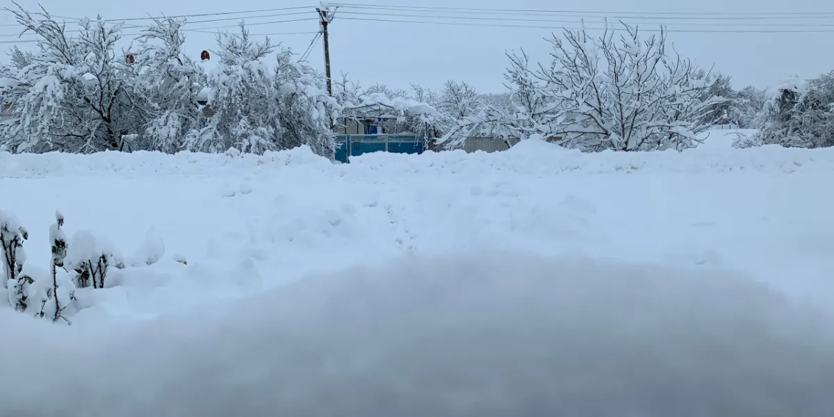 В Рязанской области ожидают похолодание до -19 градусов