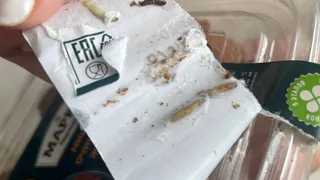 Жители Рязани обнаружили личинки в купленной упаковке миндаля