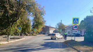 В Скопине водитель Lada Kalina сбил двух пешеходов