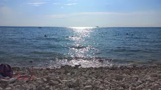 "Это что за мышеловка?": почему Сталин не купался в Черном море, хотя до него рукой было подать - узнали про его тайну