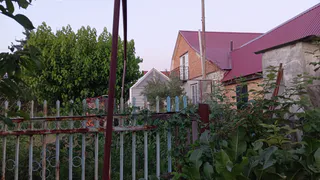Переехала жить в деревню и не жалею: вот почему не вернусь в город ни за какие коврижки - честный опыт из глуши