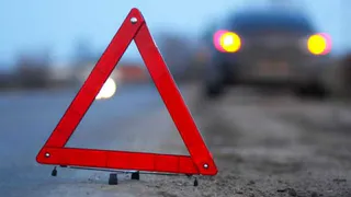 В Михайловском районе сбили двух лосей