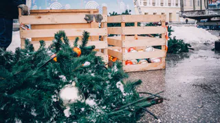В Рязани открылись елочные базары