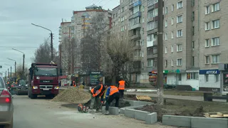 В Рязани из-за снега и ветра рвёт провода и валит деревья