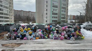 Жители нескольких улиц в Рязани обеспокоены переполненными мусорными контейнерами 