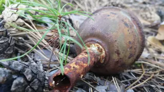 В Ряжском лесу нашли ржавую гранату