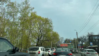 Теперь будет абсолютно бесплатно: водителей обрадовали приятным сюрпризом с 22 апреля