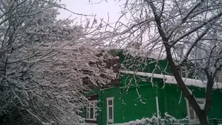 Погода на Масленичную неделю: да блин!