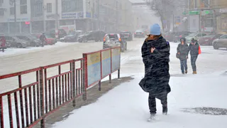 13 и 14 мая рязанцев ожидают заморозки