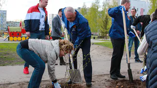 В Рыбном появилась новая аллея