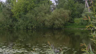 Ласковое и Уржинское озера очистят от мусора