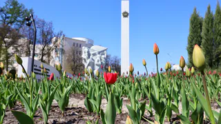 В Рязани 10 мая ожидаются дожди и грозы: публикуем прогноз погоды