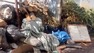 Жители Рязани жалуются на нашествие крыс в Горроще