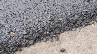 Мэрия Рязани ответила, почему лунки срубленных деревьев закатали в асфальт