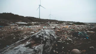 Как целлофановые пакеты нас убивают