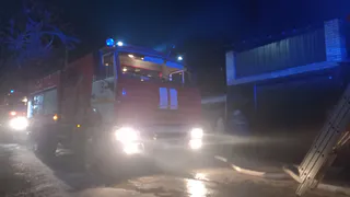 Рослесхоз спрогнозировал раннее начало пожароопасного сезона в Рязанской области