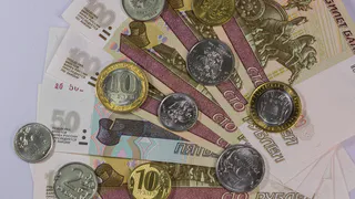 Рязанские власти направят по 800 рублей в сутки на каждого беженца из ДНР и ЛНР