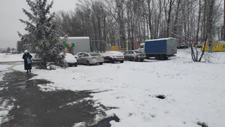 10 января в Рязанской области ожидается дождь и потепление до +5
