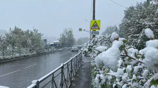 5 ноября в Рязанской области ожидается снегопад и до -6