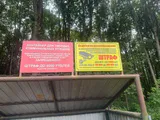 В Рыбном нашли нарушения в сфере обращения с отходами