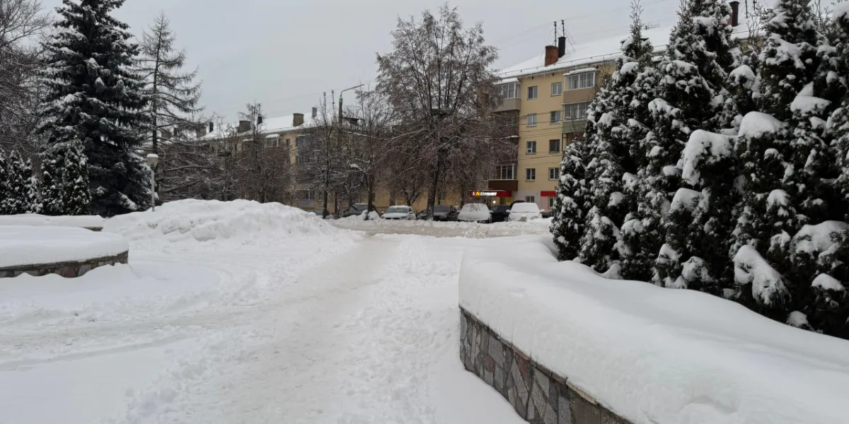 В Рязанской области пациентов возят на коляске по улице
