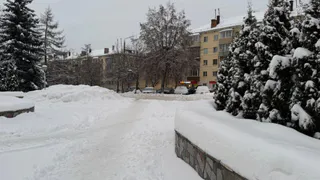 В Рязанской области пациентов возят на коляске по улице