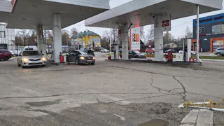 Рязанцы требуют наказать водителя, который сбил собаку прямо на заправке 