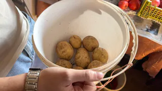 Что делает фермер из деревни с излишками картошки, и как на них зарабатывает: а мы всё мучаемся куда бы деть