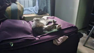 Как обойти жесткие правила по ручной клади: 1 трюк с одеждой, который спасет от переплаты за багаж