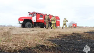 Рязанцам напомнили о штрафах до 400 тысяч за поджигание сухой травы 