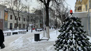 Прогноз погоды: на Рождество в Рязанской области выпадет снег